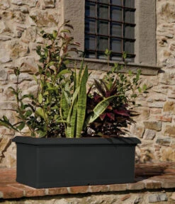 Farmet New Kunststoff-Kasten, Rechteckig, Inkl. Untersetzer 8 Farmet New Kunststoff-Kasten, Rechteckig, Inkl. Untersetzer -Gartenserien Verkaufsgeschäft 6964936 WE MO 001 FarmetNewKunststoffKastenrechteckig