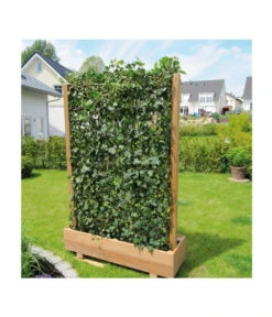 Hecke Am Laufenden Meter® 'Woerneri' - Efeu, Ca. 200 Cm -Gartenserien Verkaufsgeschäft 7208309 BildM 004 HederaHelixWoerneriHeckeAmLaufendenMeterHelix