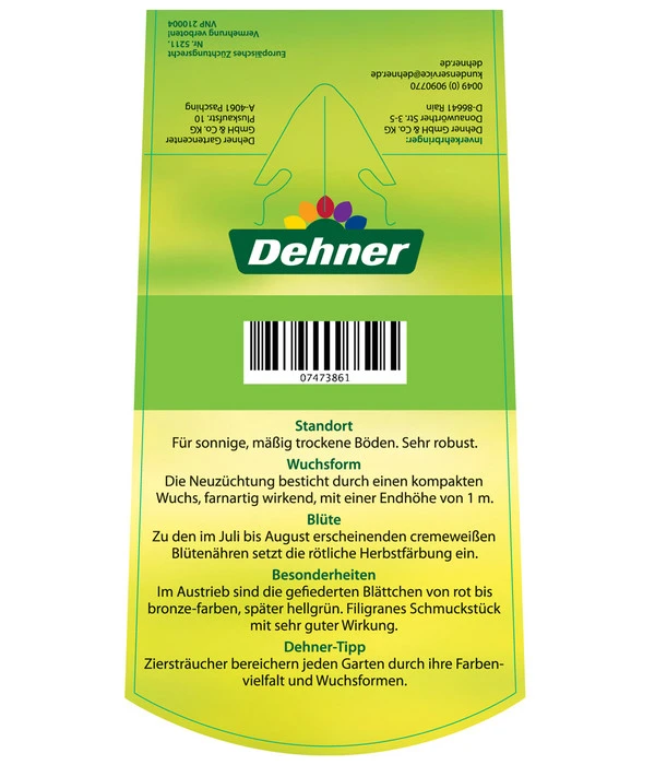 Fiederspiere 'Sem' 5 Fiederspiere 'Sem' - Image 3