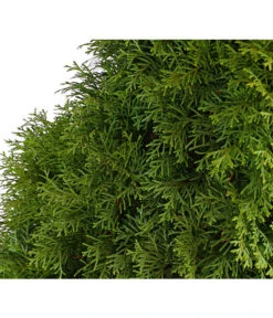 20 Meter Lebensbaum 'Smaragd', 80 X Ca. 40-60 Cm 11 20 Meter Lebensbaum 'Smaragd', 80 X Ca. 40-60 Cm -Gartenserien Verkaufsgeschäft 7513534 WE DE 001 ThujaLebensbaumOccidentalisSmaragd20LDehnerExpressHerzig