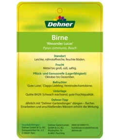 Winterbirne 'Alexander Lucas' 13 Winterbirne 'Alexander Lucas' -Gartenserien Verkaufsgeschäft 7602709 BirneAlexanderLucas Etikett 2