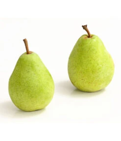 Winterbirne 'Alexander Lucas' 10 Winterbirne 'Alexander Lucas' -Gartenserien Verkaufsgeschäft 7602709 WE DE 007 BirneAlexanderLucasDehnerExpressHerzig