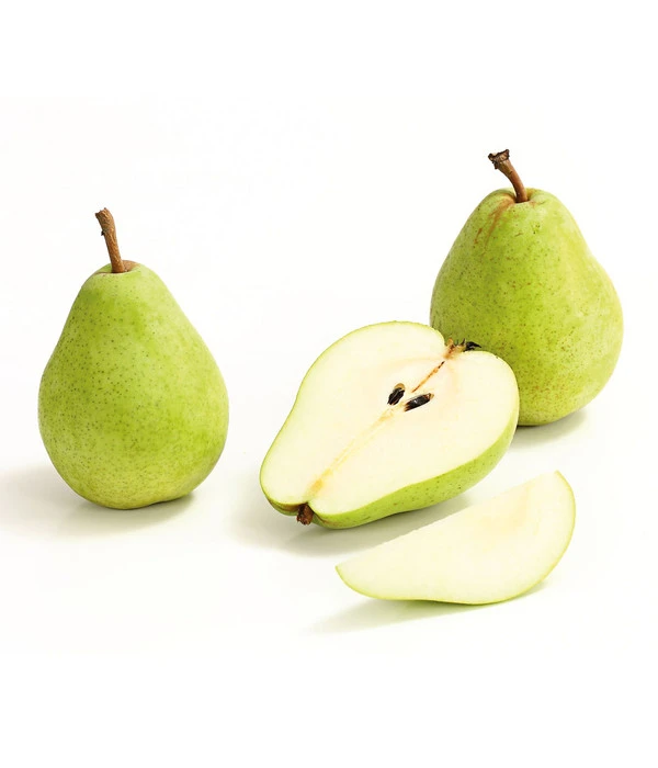 Winterbirne 'Alexander Lucas' 6 Winterbirne 'Alexander Lucas' - Image 4