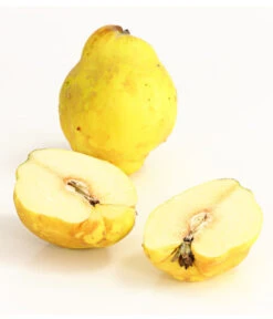 Birnenquitte -Gartenserien Verkaufsgeschäft 7612286 WE DE 003 BirnenquittePortugiesischeCydoniaOblonaDehnerExpressHerzig