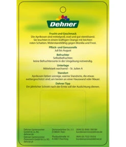 Aprikose 'Compacta' 9 Aprikose 'Compacta' -Gartenserien Verkaufsgeschäft 7626021 AprikoseCompacta Etikett 2