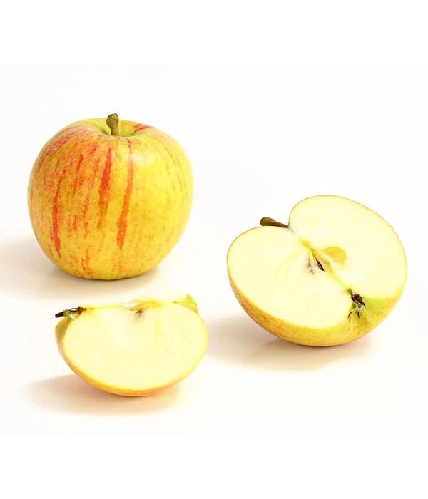 Winterapfel 'Cox Orange' 4 Winterapfel 'Cox Orange' - Image 2