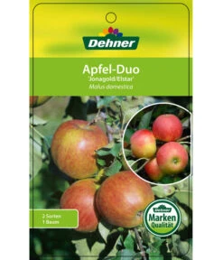 Apfel-Duo 'Jonagold'/'Elstar' -Gartenserien Verkaufsgeschäft 7639248 Apfel DuoJonagoldElstar Etikett 1