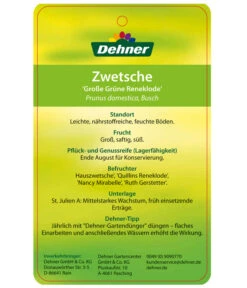 Dehner Reneklode 'Große Grüne Reneklode' 7 Dehner Reneklode 'Große Grüne Reneklode' -Gartenserien Verkaufsgeschäft 7657802 ReneklodeGrosseGrueneReneklode Etikett 2