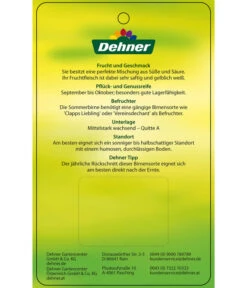 Sommerbirne 'Gute Luise' -Gartenserien Verkaufsgeschäft 7658578 SommerbirneGuteLuise Etikett 2