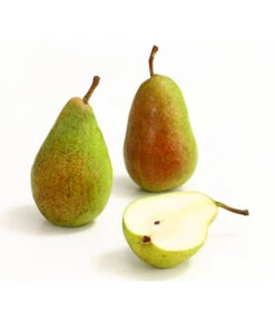 Sommerbirne 'Gute Luise' -Gartenserien Verkaufsgeschäft 7658578 WE DE 006 BirneGuteLuiseDehnerExpressHerzig