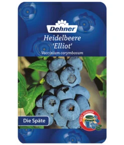 Heidelbeere 'Elliot' -Gartenserien Verkaufsgeschäft 7665227 HeidelbeereElliot Etikett 1