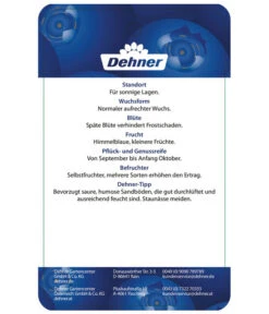 Heidelbeere 'Elliot' -Gartenserien Verkaufsgeschäft 7665227 HeidelbeereElliot Etikett 2