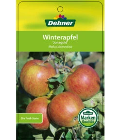Winterapfel 'Jonagold' 12 Winterapfel 'Jonagold' -Gartenserien Verkaufsgeschäft 7691645 WinterapfelJonagold Etikett 1