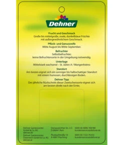 Zwetschge 'Jojo' 9 Zwetschge 'Jojo' -Gartenserien Verkaufsgeschäft 7692635 ZwetscheJojo Etikett 2