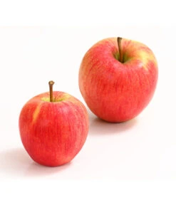 Winterapfel 'Pinova'