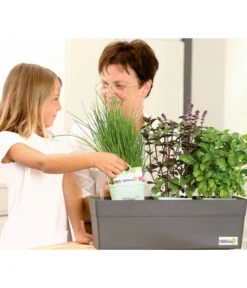 GREENBAR® Naschtomate 7 GREENBAR® Naschtomate -Gartenserien Verkaufsgeschäft 7750482 WE MO 009 GreenbarAnleitungIndoor