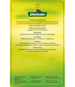 Pfirsich 'Suncrest' -Gartenserien Verkaufsgeschäft 7760754 GelbfleischigerPfirsichSuncrest Etikett 2