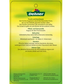 Dehner Tellerpfirsich 11 Dehner Tellerpfirsich -Gartenserien Verkaufsgeschäft 7763378 Tellerpfirsich Etikett 2