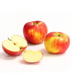 Herbstapfel 'Topaz' 8 Herbstapfel 'Topaz' -Gartenserien Verkaufsgeschäft 7763931 WE DE 008 ApfelTopazDehnerExpressHerzig