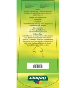 Tafeltraube 'Katharina' 10 Tafeltraube 'Katharina' -Gartenserien Verkaufsgeschäft 7773716 TafeltraubeKatharina Etikett 2