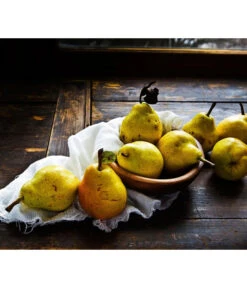 Sommerbirne 'Williams Christ' -Gartenserien Verkaufsgeschäft 7780539 WE MO 001 PyrusBirneWilliamsChrist