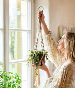 Dehner Makramee-Ampel 15 Dehner Makramee-Ampel -Gartenserien Verkaufsgeschäft 8252173 WE MO 001 PeperomiePepperspotMakrameeAmpel