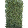 Hecke Am Laufenden Meter® 'Woerneri' - Efeu, Ca. 200 Cm -Gartenserien Verkaufsgeschäft 8295198 WE FS 001 HederaWoerneriHelixHeckeAmLaufendenMeterEfeu