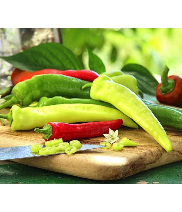 Peperoni 'Hyper' 3 Peperoni 'Hyper'