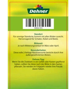 Narzisse 'Jetfire', Schale -Gartenserien Verkaufsgeschäft 8662363 Narcissus Jetfire Schale 2016 2