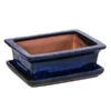 Dehner Keramik-Bonsaischale, Rechteckig, Ca. B18/H6/T14 Cm -Gartenserien Verkaufsgeschäft 8732034 WE FS 001 SchalensortimentBonsai BlauRechteckigGr 3