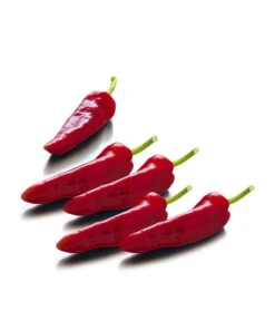 Spitzpaprika, Rot 7 Spitzpaprika, Rot -Gartenserien Verkaufsgeschäft 8833485 WE FS 001 SpitzpaprikaRot