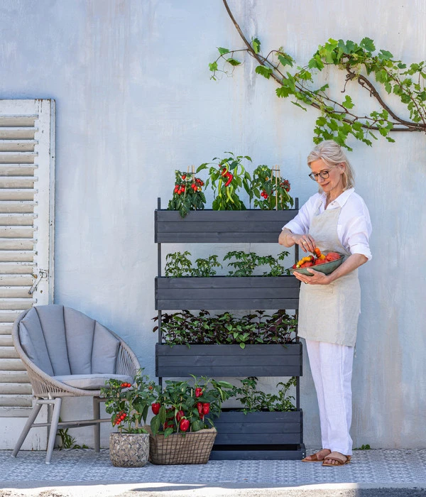Pick-a-Tom® Cocktailtomate Mit Früchten, Rot 4 Pick-a-Tom® Cocktailtomate Mit Früchten, Rot - Image 2