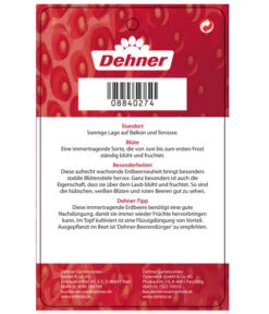 Erdbeere 'Delizz' -Gartenserien Verkaufsgeschäft 8840274 ErdbeereDelizzImmertragend Etikett 2