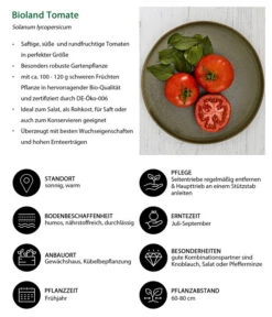 Bioland Tomate, Rundfruchtig -Gartenserien Verkaufsgeschäft 8842619 WE IG 001 BiolandTomate