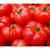 Bioland Fleischtomate 1 Bioland Fleischtomate -Gartenserien Verkaufsgeschäft 8842627 WE DE 001 BiolandFleischtomate