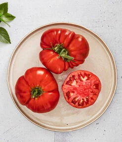 Bioland Fleischtomate -Gartenserien Verkaufsgeschäft 8842627 WE MO 001 BiolandFleischtomate