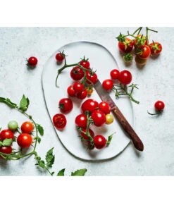 Bioland Cherrytomate 11 Bioland Cherrytomate -Gartenserien Verkaufsgeschäft 8842635 WE MO 002 Bio Cherrytomate