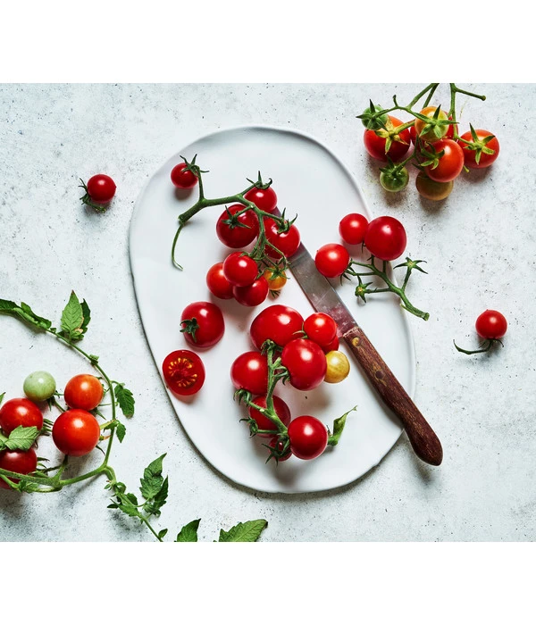 Bioland Cherrytomate 6 Bioland Cherrytomate - Image 4