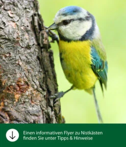 Dehner Kids Bastelsatz-Nistkasten -Gartenserien Verkaufsgeschäft WE IG FlyergrafikDehnerNaturaNistkaesten